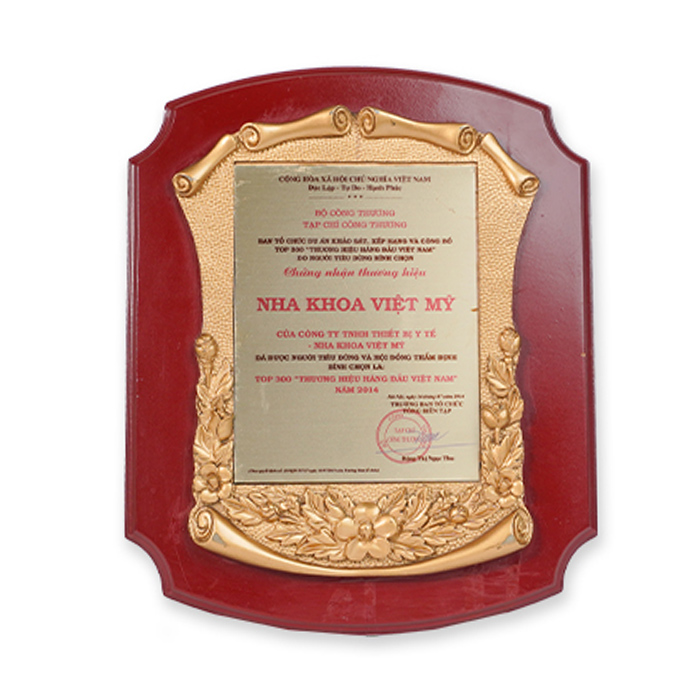 Top 300 thuong hieu hang dau Viet Nam nam 2014